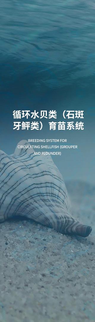 何為真正的綜合型技術(shù)伙伴 從研發(fā)到運(yùn)營(yíng)的全鏈條服務(wù)時(shí)代